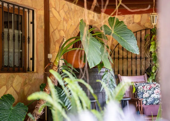 Appartement Casa Lazaro,