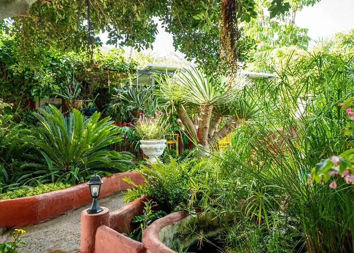 Casa Lazaro, Appartement