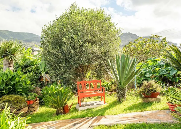 Casa Lazaro, *
