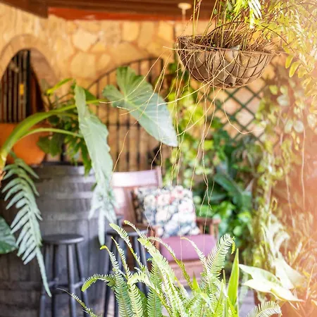 Apartment Casa Lazaro, *