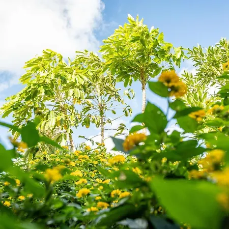 Apartment Casa Lazaro, *
