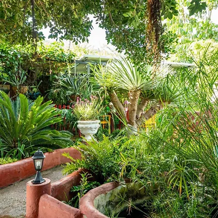 Casa Lazaro, Apartment