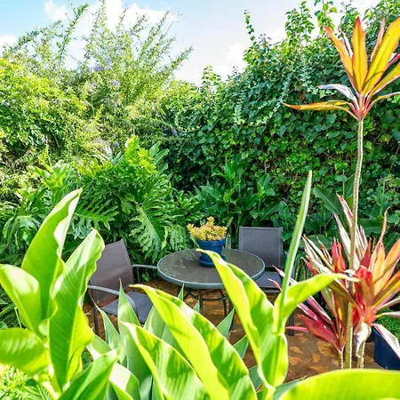 Casa Lazaro, * Tegueste