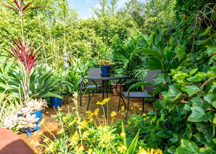 Casa Lazaro, Apartman