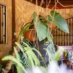 Διαμέρισμα Casa Lazaro,