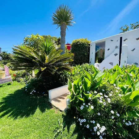 Casa Lazaro,