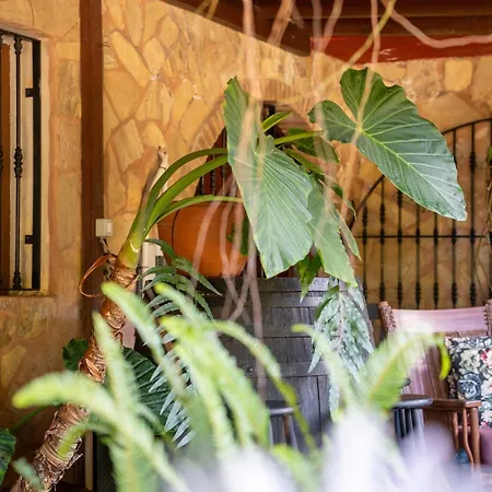 Apartment Casa Lazaro,