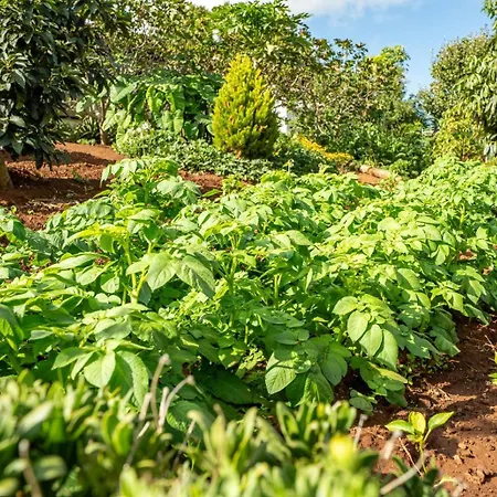 Apartment Casa Lazaro,