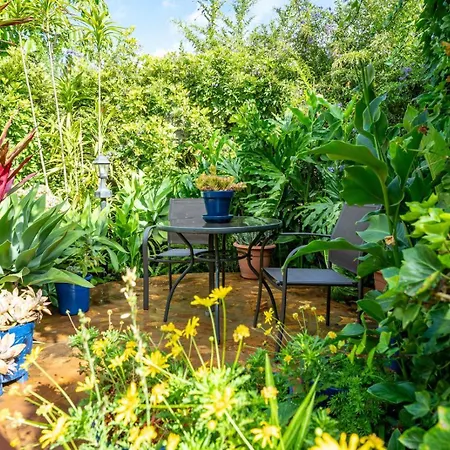 Casa Lazaro, Apartment