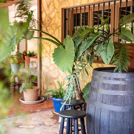 Casa Lazaro, * Tegueste